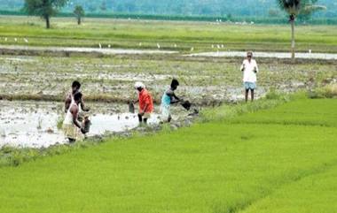 Rythu Bharosa Extends To Tenant Farmers: ఏపీ కౌలు రైతులకు శుభవార్త, కౌలు రైతులకు కూడా రైతు భరోసా పథకం, జీవో జారీ చేసిన ఆంధ్రప్రదేశ్ ప్రభుత్వం