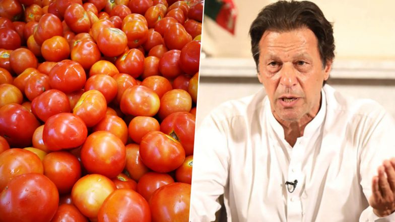 Tomato price In Pakistan: పాకిస్తాన్‌లో టమోటా ధర కిలో రూ. 400, రూ.100కు నాలుగు టమోటాలు,లబోదిబోమంటున్న పాక్ ప్రజలు,ఇరాన్ నుంచి దిగుమతి చేసుకుంటున్న దాయాది దేశం