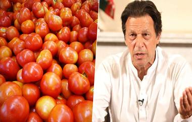 Tomato price In Pakistan: పాకిస్తాన్‌లో టమోటా ధర కిలో రూ. 400, రూ.100కు నాలుగు టమోటాలు,లబోదిబోమంటున్న పాక్ ప్రజలు,ఇరాన్ నుంచి దిగుమతి చేసుకుంటున్న దాయాది దేశం