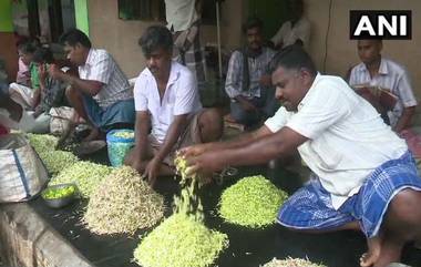 Jasmine Flowers: కిలో మల్లెపూలు కావాలంటే రూ.3 వేలు చెల్లించాలి, వర్షాల దెబ్బకు అమాంతంగా పెరిగిన మల్లెపూల ధరలు, తమిళనాడులో సామాన్యులకు తప్పని ఇబ్బందులు