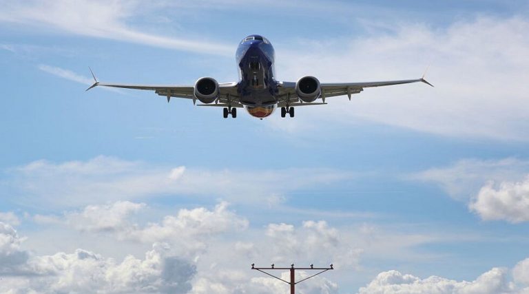 Snake Found in Plane: ఎయిరిండియా విమానంలో పాము కలకలం, దుబాయ్‌ ఎయిర్‌పోర్టులో గుర్తించిన సిబ్బంది, విచారణకు ఆదేశించిన డీజీసీఏ