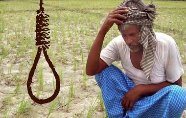 Maharashtra Farmer Suicides: 300 మంది రైతుల ఆత్మహత్యలు, మహారాష్ట్రలో అధికార కుమ్ములాటకు బలైన కర్షకులెందరో..,ఒక్క నవంబర్ నెలలోనే జరిగిన విషాద ఘటన ఇది, దిగ్భ్రాంతికర విషయాన్ని వెల్లడించిన రెవిన్యూ శాఖ