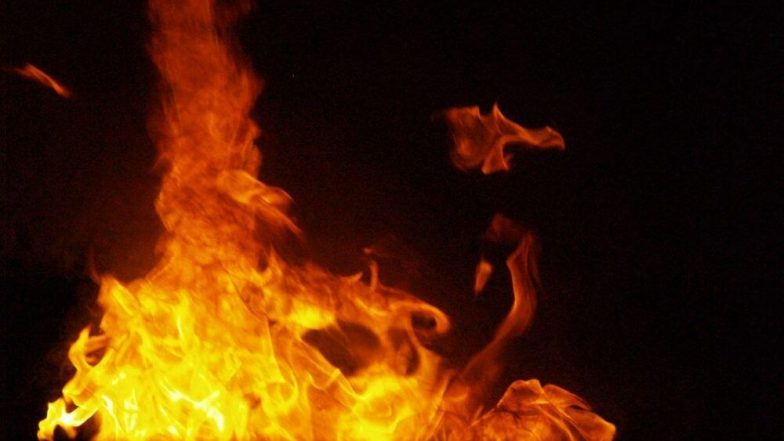Fire at Telangana Bhavan: తెలంగాణ భవన్‌లో అగ్నిప్రమాదం, భారీ ఎత్తున చెలరేగిన మంటలు, 'ఎమ్మెల్సీ' గెలుపు సంబరాల్లో అపశృతి