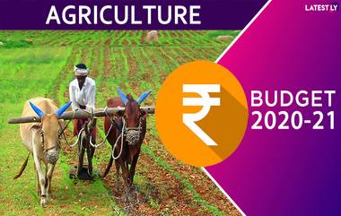 Agriculture Budget 2020-21: రెండేళ్లలో రైతుల ఆదాయం రెట్టింపు చేస్తాం! వ్యవసాయం, నీటిపారుదల కోసం రూ .2.83 లక్షల కోట్లు, వ్యవసాయ రుణాల కోసం రూ.15 లక్షల కోట్లు సమకూర్పు