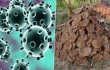 Cow Dung for Coronavirus: కరోనావైరస్ నివారణకు ఆవు పేడ, ఆవు మూత్రం దివ్యౌషధాలు, అసెంబ్లీలో స్పీచ్ దంచికొట్టిన ఎమ్మెల్యే, నోరెళ్ల బెట్టిన సహచర సభ్యులు