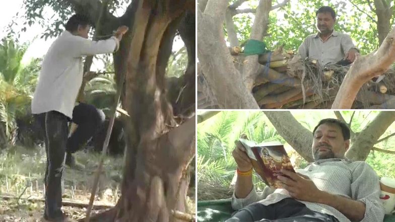 COVID-19 'Treehouse': కరోనా దెబ్బ, జనావాసం వదిలి చెట్టుమీద నివాసం ఉంటున్న లాయర్, సామాజికి దూరాన్ని పాటించేందుకు ఇలా, ఉత్తరప్రదేశ్లో ఘటన COVID-19 'Treehouse': కరోనా దెబ్బ, జనావాసం వదిలి చెట్టుమీద నివాసం ఉంటున్న లాయర్, సామాజికి దూరాన్ని పాటించేందుకు ఇలా, ఉత్తరప్రదేశ్లో ఘటన