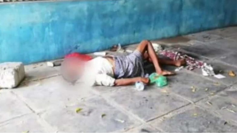 Dogs Eat Patient's Dead Body: శవాన్ని పీక్కుతిన్న కుక్కలు, ఒంగోలు జీజీహెచ్లో అమానవీయ ఘటన, వీడియోని షేర్ చేసిన చంద్రబాబు, స్పందించిన రాష్ట్ర వైద్యారోగ్యశాఖ అధికారులు Dogs Eat Patient's Dead Body: శవాన్ని పీక్కుతిన్న కుక్కలు, ఒంగోలు జీజీహెచ్లో అమానవీయ ఘటన, వీడియోని షేర్ చేసిన చంద్రబాబు, స్పందించిన రాష్ట్ర వైద్యారోగ్యశాఖ అధికారులు