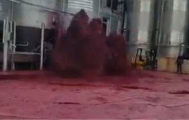 Red Wine Explodes in Spain: మందుబాబులు షాకయ్యే వార్త, ఏరులై పారిన రెడ్‌ వైన్‌, సోషల్ మీడియాలో వైరల్ అవుతున్న వీడియోని చూసి గుండెలు బాదుకుంటున్న మద్యం ప్రియులు