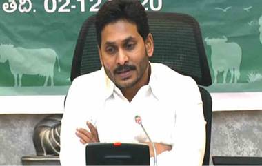 YSR Asara & Cheyutha: ఏపీలో అమూల్ ప్రారంభం, వైఎస్సార్‌ చేయూత, ఆసరా మహిళలకు పశువుల యూనిట్ల పంపిణీ కార్యక్రమాన్ని ప్రారంభించిన ఏపీ సీఎం వైయస్ జగన్, అమూల్ లాభాల్లో బోనస్ మహిళలకే..