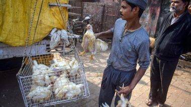 Bird Flu Outbreak in India: బర్డ్ ఫ్లూ కల్లోలం, 13 రాష్ట్రాలకు పాకిన వైరస్, 9 రాష్ట్రాల్లోని పౌల్ట్రీ పక్షుల్లో, 12 రాష్ట్రాల్లో కాకులు, వలస పక్షుల్లోనూ బర్డ్ ఫ్లూ గుర్తించినట్టు ప్రకటించిన కేంద్ర ప్రభుత్వం