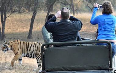 Wildlife Safari: పునరుజ్జీవం పొందుతున్న పర్యాటక రంగం, ప్రకృతి ప్రేమికులకు మళ్లీ మంచి రోజులు, తెలంగాణలోని టైగర్ రిజర్వ్ సఫారీ ఏడాది విరామం తర్వాత పున:ప్రారంభం