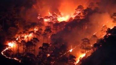 Uttarakhand Forest Fire: చమోలిలో అడవిలో భారీ అగ్ని ప్రమాదం, నలుగురు మనుషులు, ఏడు జీవాలు మృతి, బుగ్గయిపోయిన వందల హెక్టార్ల అడవి, నగరానికి చేరువగా వస్తున్న మంటలు