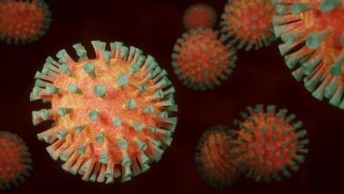Coronavirus in India: దేశంలో ఒక్క రోజులో 2 లక్షలకు పైగా కేసులు, గత 24 గంటల్లో 2,47,417 మందికి కరోనా, కొత్తగా 84,825 మంది కోలుకుని డిశ్చార్జ్