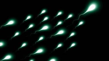 Sperm Count: మగాళ్లకు షాకింగ్ న్యూస్, వారిలో వీర్యకణాలు భారీగా తగ్గుతున్నాయని పరిశోధనలో వెల్లడి, వృషణ క్యాన్సర్ బారీన పడి ఆయుష్షు తగ్గిపోతుందని స్టడీలో వెల్లడి