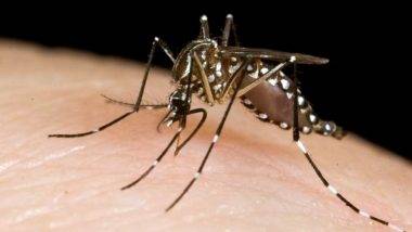 Zika Virus: జికా వైరస్ లక్షణాలు ఇవే, దోమలతో చాలా జాగ్రత్తగా ఉండాలి, తెలంగాణలో కలకలం పుట్టిస్తున్న జికా వైరస్, దేశ వ్యాప్తంగా పలు రాష్ట్రాల్లో జికావైరస్ కేసులు, అప్రమత్తతపై హెచ్చరిస్తున్న వైద్యులు