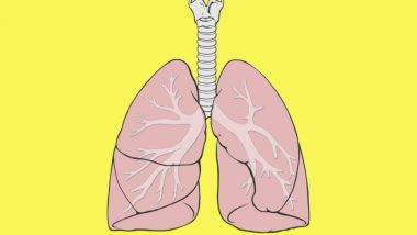 Coronavirus Spread: ఊపిరితిత్తులకు కరోనా సోకిందని ఎలా గుర్తించాలి, లంగ్స్ మీద కోవిడ్ ప్రభావం పడకుండా ఎలాంటి జాగ్రత్తలు తీసుకోవాలి, వైద్యులు ఏం చెబుతున్నారో ఓ సారి చూద్దాం