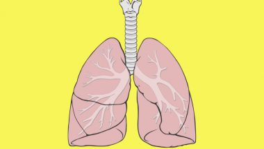 Health Tips: ఊపిరితిత్తుల ఇన్ఫెక్షన్ తో బాధపడుతున్నారా కారణాలు, నివారణ తెలుసుకుందాం..