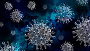 Coronavirus in U.S: అమెరికాను వణికిస్తున్న కరోనా, ఒక్కరోజే నాలుగున్నర లక్షల కేసులు నమోదు, అగ్రరాజ్యంలో భారీగా పెరుగుతున్న ఒమిక్రాన్, డెల్టా వేరియంట్ కేసులు