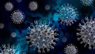 Norovirus in Kerala: కేరళలో మళ్లీ నోరోవైరస్ కలకలం, ఇద్దరు చిన్నారుల్లో వ్యాధి గుర్తించిన అధికారులు, ఆహారం లేదంటే కలుషిత ద్రవాల ద్వారా నోరోవైరస్