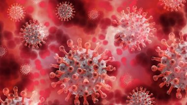 Coronavirus in India: దేశంలో కొత్త‌గా 8,309 క‌రోనా కేసులు, గత 24 గంటల్లో 236 మంది మృతి, 9,905 మంది డిశ్చార్జ్, ప్ర‌స్తుతం 1,03,859 యాక్టివ్ కేసులు