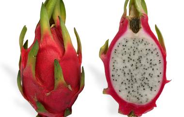 Dragon Fruit Health Benefits: డ్రాగన్ ఫ్రూట్ లాభాలు ఏంటో తెలిస్తే ఆశ్చర్యపోతారు, ప్రతి రోజు ఒక పండు తింటే కలిగే ప్రయోజనాలు ఇవే..