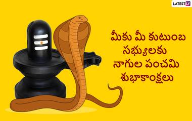 Nag Panchami 2022: ఆగస్టు 2 నాగ పంచమి పర్వదినం, నాగ పంచమి రోజు ఈ తప్పులు చేశారో నాగ దేవత ఆగ్రహానికి గురవుతారు, జాగ్రత్తగా చదివి ఆచరించండి..