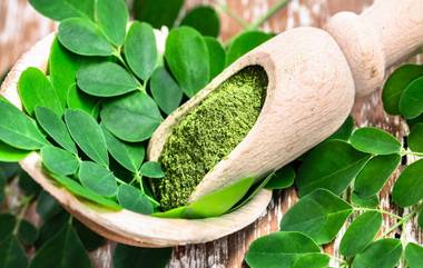 Health Benefits Of Moringa: మునగాకు ప్రయోజనాలు తెలిస్తే ఆశ్చర్యపోతారు, ఇన్ని ప్రయోజనాలు ఉన్నాయని తెలిస్తే అస్సలు వదలలేరు,