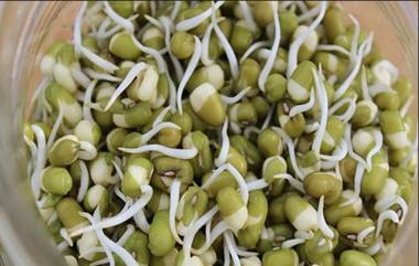 Health Benefits of Eating Sprouts: మొలకెత్తిన గింజలు తినడం వల్ల ఉపయోగాలు, రోజువారి డైట్‌లో మెులకెత్తిన గింజలను చేర్చడం వల్ల కలిగే అద్భుతమైన ప్రయోజనాలు ఇవే..