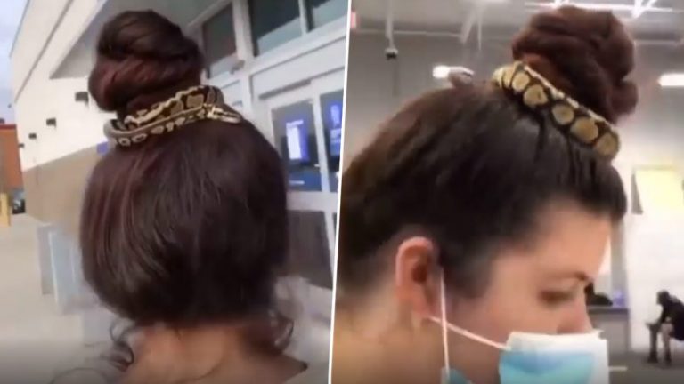 Girl Wrapped Snake In Hair: హెయిర్ కొప్పులో బతికున్న పామును పెట్టుకుని తిరిగిన యువతి, క్లిప్ బదులు పామును చుట్టుకుని షాపింగ్ మాల్లో‌ చక్కర్లు, సోషల్ మీడియాలో వీడియో వైరల్