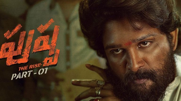 Pushpa Trailer: భూమిపై పెరిగే బంగారం పేరు ఎర్రచందనం, అల్లు అర్జున్ పుష్ప ట్రైలర్ విడుదల చేసిన టీం, చిత్తూరు యాసతో అదరగొడుతున్న ట్రైలర్