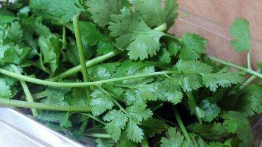 Coriander Health Benefits: రోజూ కొత్తిమీర తినడం వల్ల ఎన్నోప్రయోజనాలు, మీ శరీరంలో వచ్చే మార్పులను చూసి మీరే ఆశ్చర్యపోతారు, పొట్టకు మేలుచేసే కొత్తిమీర ఉపయోగాలు మీకోసం