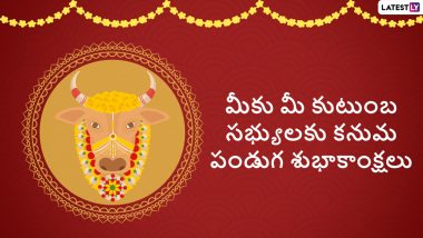 Kanuma Wishes in Telugu: కనుమ శుభాకాంక్షలు తెలుగులో, మీ స్నేహితులకు, బంధువులకు, కుటుంబ సభ్యులకు ఈ కోట్స్ ద్వారా కనుమ శుభాకాంక్షలు చెప్పేయండి