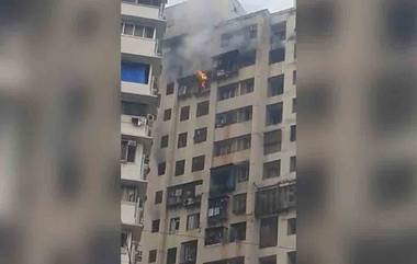 Fire At Mumbai High-Rise: ముంబై నడి నగరంలో భారీ అగ్నిప్రమాదం, ఏడుగురు మృతి, 15 మందికి గాయాలు, పలువురి పరిస్థితి విషమం