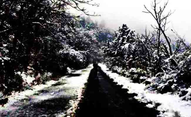 Black Snow: నల్లటి మంచును చూశారా? ఇదిగోండి ఆ ప్రాంతాన్ని కమ్మేస్తున్న నల్లటి మంచు, భయాందోళనలో స్థానికులు, ఎక్కడో తెలుసా?