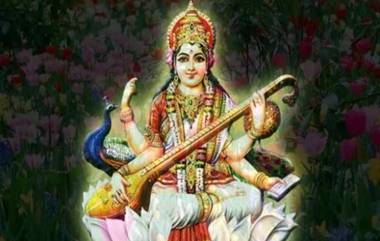 Vasant Panchami 2022: వసంత పంచమి రోజు మర్చిపోయి కూడా ఈ పనులు అస్సలు చేయకండి, చేస్తే అంతే సంగతులు