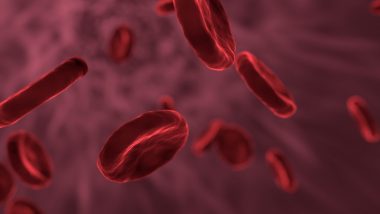 Shigella Infection: కేరళలో మళ్లీ షిగెల్లా వ్యాధి కలకలం, ఏడేళ్ల బాలికలో వ్యాధిని గుర్తించిన అధికారులు, షిగెల్లా వ్యాధి లక్షణాలు ఓ సారి తెలుసుకోండి