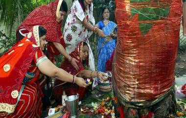 Saturday Pooja: శనివారం రావిచెట్టుకు ఈ పూజ చేస్తే, మీ ఇంటికి పట్టిన శని వదిలిపోతుంది, అప్పల బాధలు తొలగిపోతాయి, ఏం చేయాలో తెలుసుకోండి