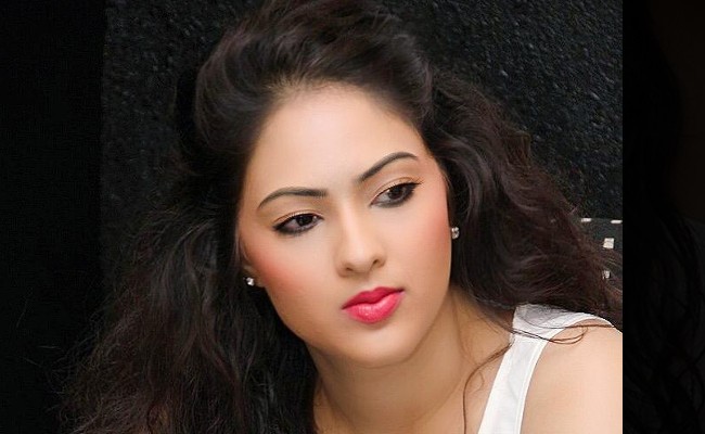 Nikesha Patel: మెగాస్టారా..ఆయన ఎవరు ? ఇండస్ట్రీలో చాలామంది మెగాస్టార్లు ఉన్నారు, నెటిజన్‌కు హీరోయిన్ నిఖీషా పటేల్‌ దిమ్మతిరిగే రిప్లయి, త్వరలోనే పెళ్లి చేసుకుంటానని గుడ్‌న్యూస్‌