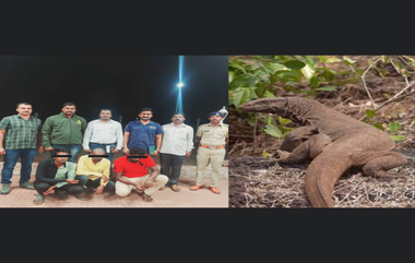 Rape on Monitor Lizard: ఉడుముపై సామూహిక అత్యాచారం, ఫోన్లో వీడియో తీసుకున్న నిందితులు, మహారాష్ట్ర అడవుల్లో కామాంధుల ఘాతుకం, ఏడేళ్లు జైలు శిక్ష పడే అవకాశం, ఇదెక్కడి కక్కుర్తి బాబోయ్‌