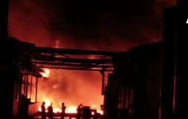 Eluru Fire Accident:ఏలూరు కెమికల్ ఫ్యాక్టరీలో మంటలు, ఆరుగురు సజీవదహనం, 13 మందికి తీవ్రగాయాలు, ఒకరిద్దరు తప్ప అందరి పరిస్థితీ విషమం