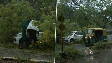 Delhi Rains: గాలివానతో వణికిపోయిన ఢిల్లీ నగరం, ఒళ్లు ఝలదరించేలా ఉరుములు, మెరుపులతో కూడిన వడగండ్ల వాన వీడియోలు