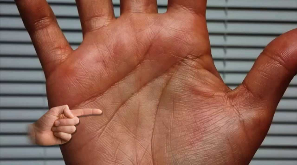 Palmistry: మీ చేతిలో ధన రేఖ ఉంటే చాలు డబ్బే డబ్బు, పట్టిందల్లా బంగారమే, ఈ రేఖను ఎలా మీ చేతిలో ఉందో లేదో చెక్ చేసుకోండి...
