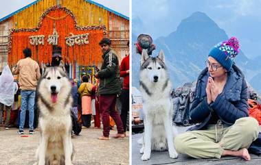 Kedarnath Temple Dog video: కేదార్ నాథ్ ఆలయంలోకి  ప్రవేశించిన పెంపుడు కుక్క, కేసులు పెట్టిన ఆలయ కమిటీ, అన్యాయం అంటున్న కుక్క యజమాని, పూజారులే స్వయంగా బొట్టు పెట్టి ఆహ్వానించారని వెల్లడి...