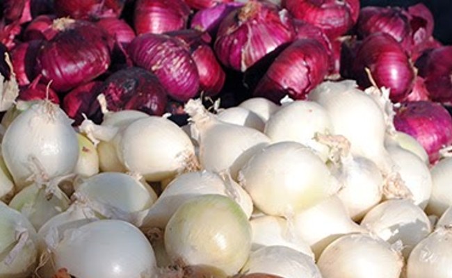 White Onions: తెల్ల ఉల్లిపాయ..ఎర్ర ఉల్లిపాయ, రెండింట్లో ఏది ఆరోగ్యానికి ఎక్కువ మంచిదో తెలుసా, వైద్యులు ఏమి చెబుతున్నారో ఓ సారి తెలుసుకోండి