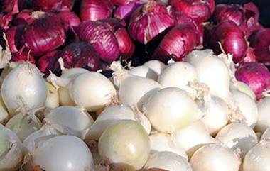 Onion Price: టమాటా తర్వాత ఇక ఉల్లివంతు.. వచ్చే నెలలో రూ. 70కి చేరుకోనున్న ధర.. &lsquo;క్రిసిల్ మార్కెట్ ఇంటెలిజెన్స్ అండ్ అనలిటిక్స్&rsquo; నివేదిక.. సరఫరా-డిమాండ్ మధ్య తేడానే కారణం