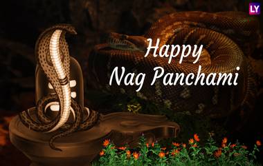 Naga Panchami 2022: ఆగస్టు 2న నాగ పంచమి, ఈ రోజున నాగదేవతను ఇలా నిష్ఠతో ఆరాధిస్తే, పెళ్లి కాని ఆడ పిల్లలకు కోటీశ్వరుడైన భర్త రావడం ఖాయం..