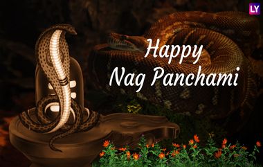 Nag Panchami 2022: నేడే నాగ పంచమి, ఈ రోజు ఈ పూజలు చేస్తే కాలసర్ప దోషం పోవడం ఖాయం, అలాగే మీ జీవితంలో కష్టాలు తొలగించుకోవాలంటే ఈ రోజు ఈ పని చేయండి..