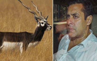 Memorial for Blackbuck: సల్మాన్ ఖాన్ చంపిన కృష్ణజింకకు స్మారకం, 800 కేజీల జింక విగ్రహం పెడుతున్న బిష్ణోయ్ వర్గం, గ్రామస్తులంతా చందాలు వేసుకొని నిర్మాణం, నిజం జింక అవశేషాలతో స్మారకం నిర్మాణం