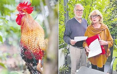 Case Filed on Rooster: కోడి కూస్తోందని కేసు పెట్టారు.. ఇంతకీ ఆ కోడి ఏ రేంజు సౌండ్ తో కూస్తుందంటే?