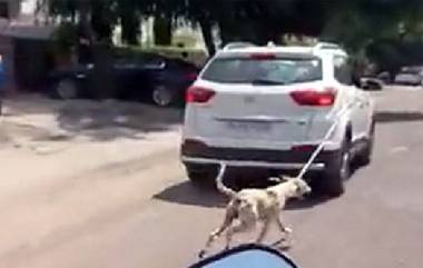 Dog at Jodhpur: పైశాచికత్వానికి పరాకాష్ఠ .. మూగ జీవం అని కూడా చూడకుండా కారుకు కుక్కను కట్టి పరిగెత్తించిన డాక్టర్.. వీడియో ఇదిగో